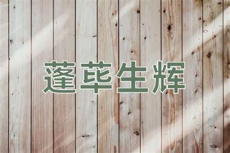 蓬蓽生輝 意思|蓬荜生辉的意思